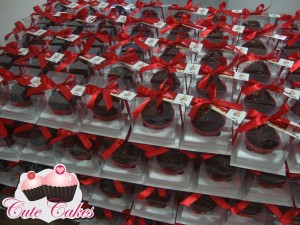 Cinemark 17 anos