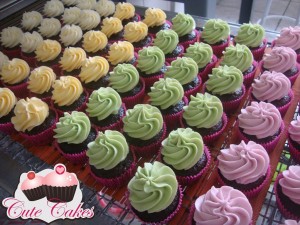Mini cupcakes coloridos
