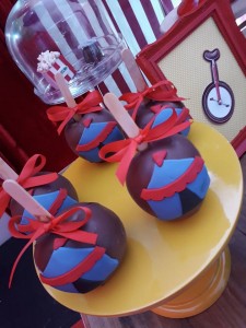 Festa circo