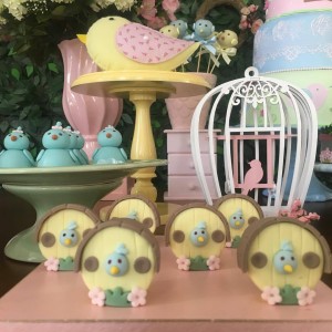 Chá de bebê jardim dos passarinhos