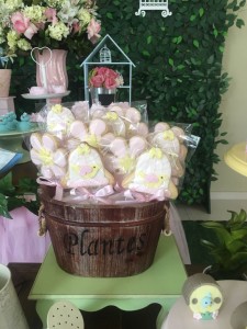 Chá de bebê jardim dos passarinhos