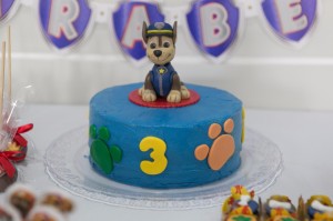 Festa Patrulha Canina