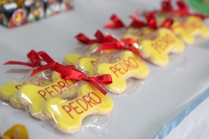 Festa Patrulha Canina