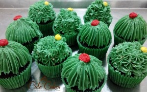 doces decorados cactos e suculentas
