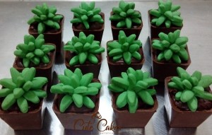 doces decorados cactos e suculentas